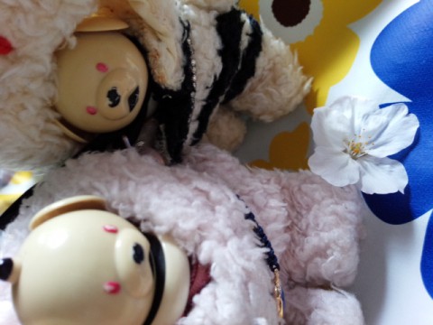 待ちに待った