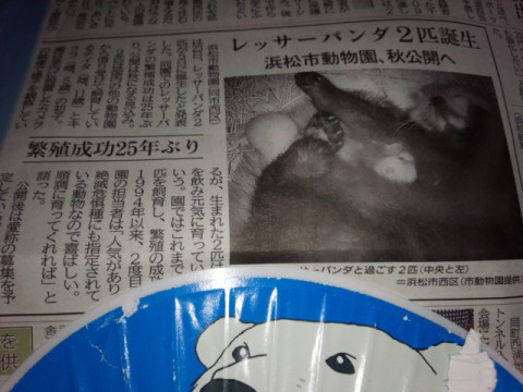祝　レサパンツインズ誕生