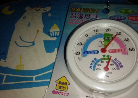 暑いのに海老天
