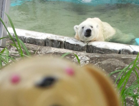 はじめまして　東山の
