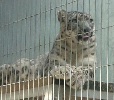 多摩動物公園