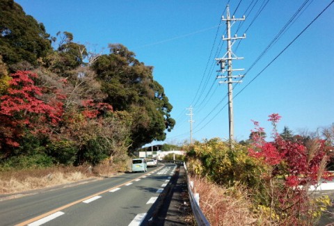 ささやかな紅葉