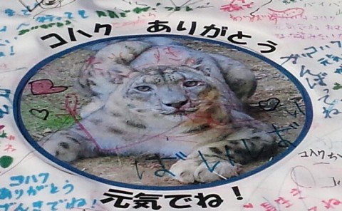 コハク君　元気でね
