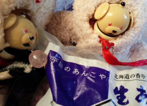 北海道の小豆と玉ねぎとエゾウコギ