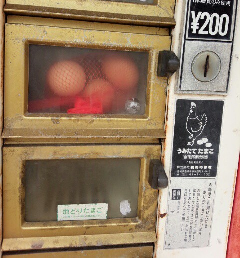 卵の自動販売機