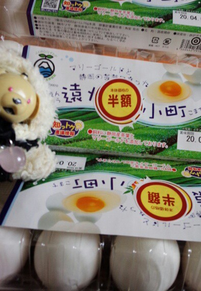 動物園のトラさんもコロナウイルス感染