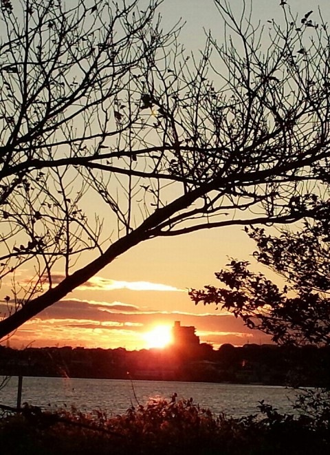 The Sunset