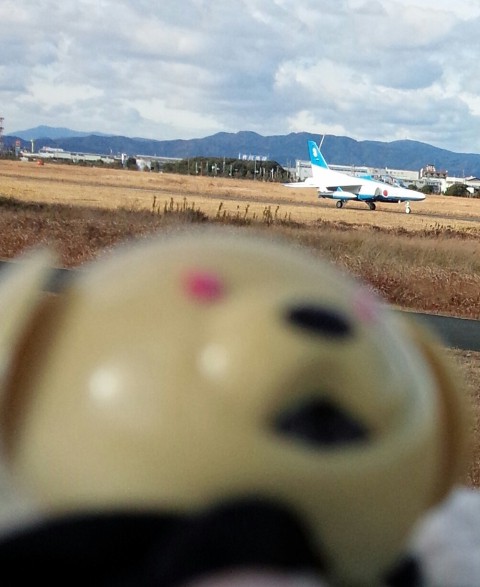 やっぱり