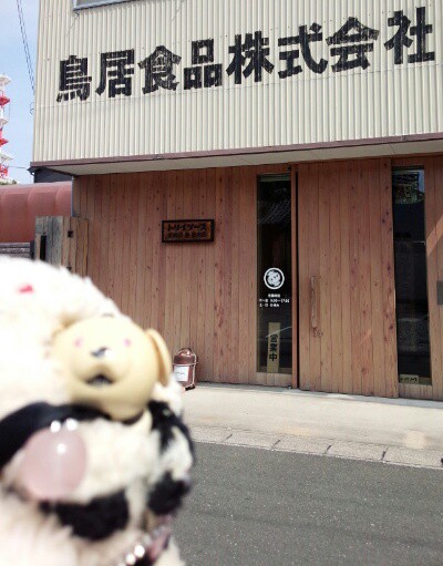 気温19℃予報