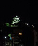 残念ながら