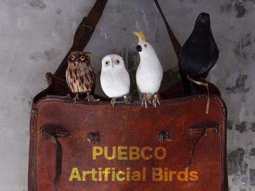 PUEBCO