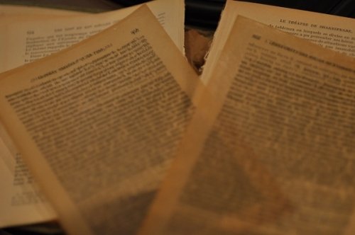 アンティークの洋書と定休日の変更お知らせ