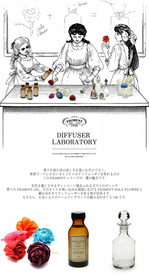 FIGMENT DIFFUSER LABORATY