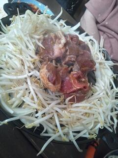 ジンギスカン♪