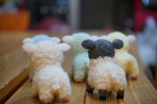 羊毛の羊さん・・・