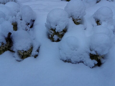 4月23日(日曜日)