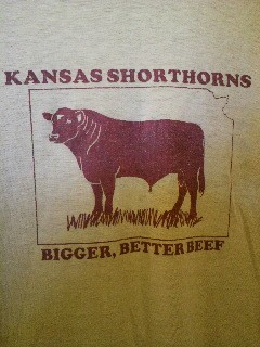 SHORT HORNS