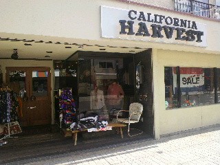 『Clutch』 『CALIFORNIA HARVEST』 最終セール!!!