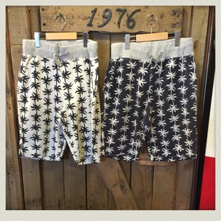 パイル地ショーツ入荷!!