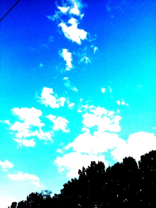 空を見上げよう♪脱出だ~