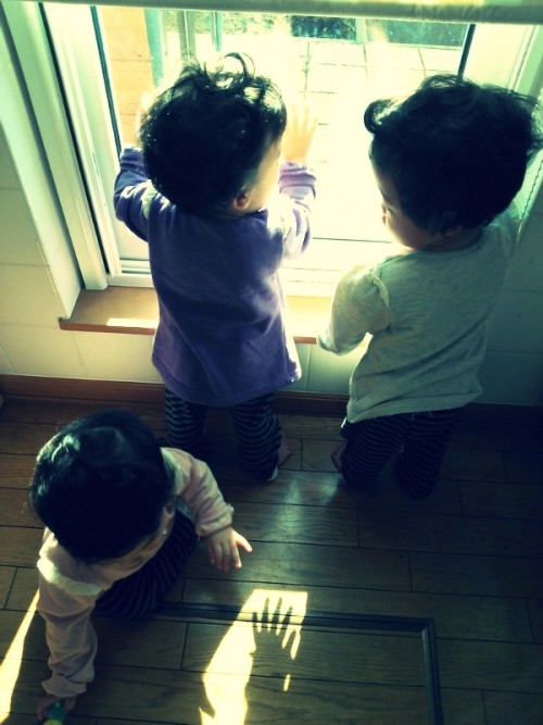 どうなるかなぁ~