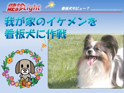 看板犬・アイドル犬にするぞ~作戦