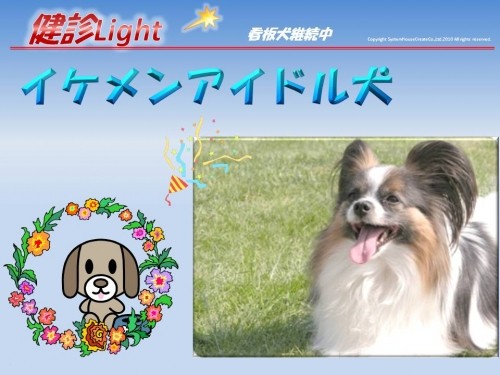 イケメン アイドル犬 継続中 健診Light