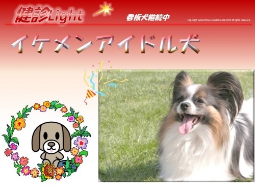 デジタルサイネージ「伝ネージ」 登場!!