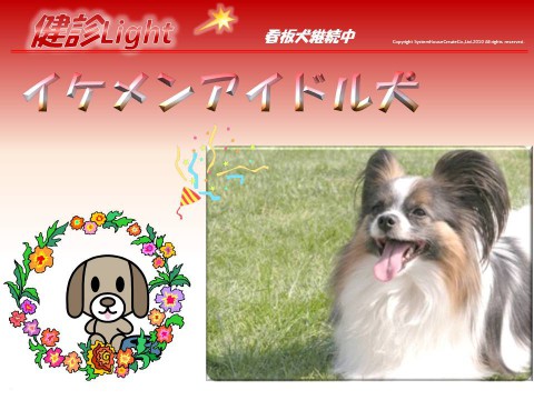 帯広コア専門学校インターンシップ 2015 第2弾