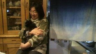 看板猫が行く~テゲテゲ