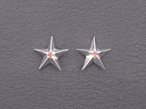 シルバー925 星 スターピアス 1月誕生石 ガーネット