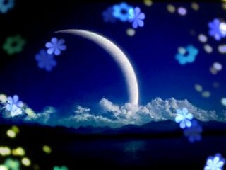 今日は新月です!!