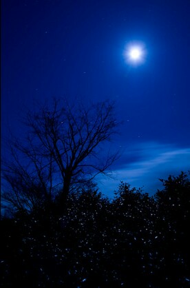満月 ~ Full Moon ~