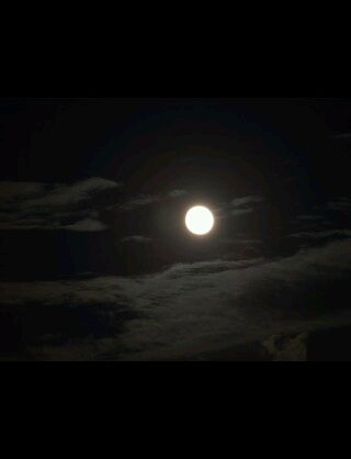 中秋の名月~十五夜~ですねー♪