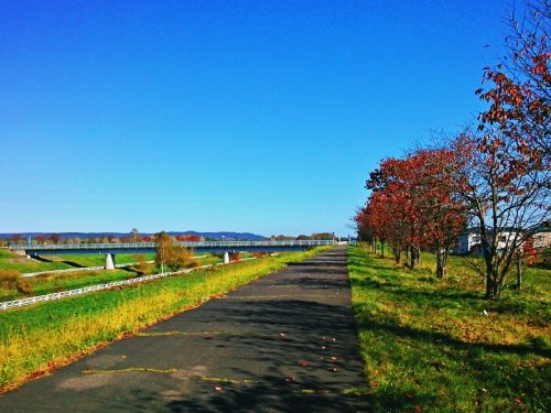 秋のお散歩(#^.^#)