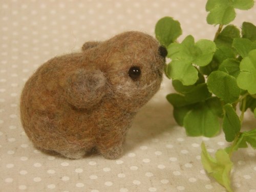 ナキウサギ♪