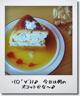 ズコット→ちょっと休憩