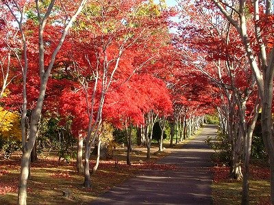 秋の店コン情報