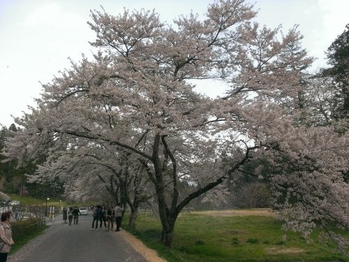 東北の旅～その２～