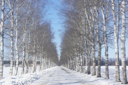 いざ、極旨祭りへ！