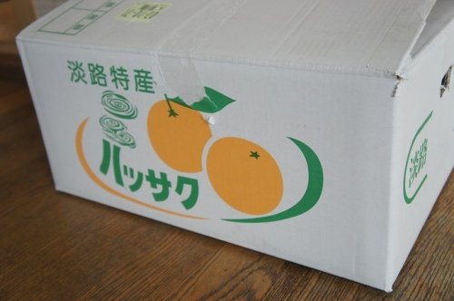 淡路島から春が届きました～！