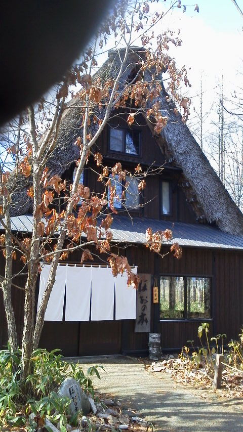 ほおの木さんの桜えびかき揚げ天そば(過去そば記録)