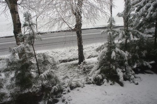 夏タイヤに替えたのに~ッ