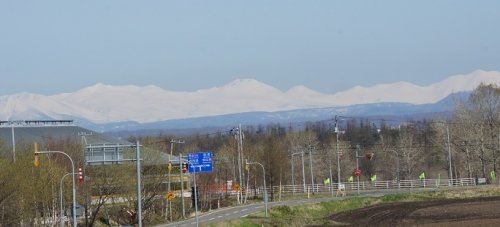 山菜の生育状況は…?