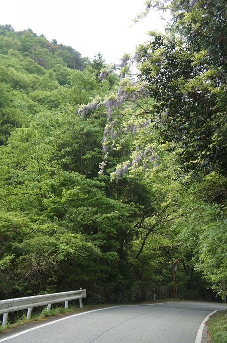 丹波篠山から、　神戸、大阪へ
