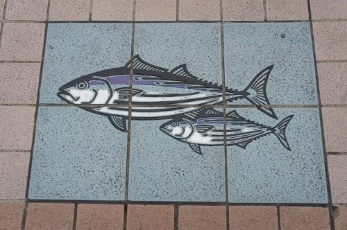 ５月20日　室戸岬往復～桂浜～須崎～四万十