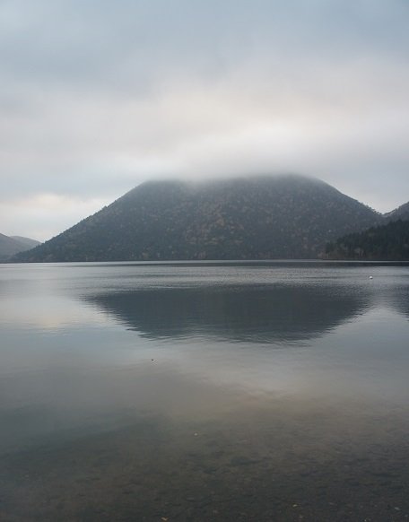 思い通りにはいかないものね～♪