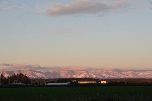 秋ネタですが…。　もう、冬！？