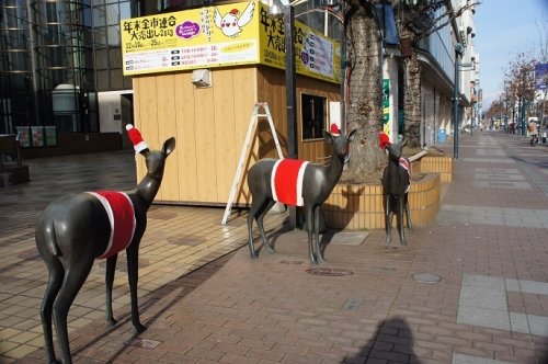 続・市中心部で見かけた動物たち