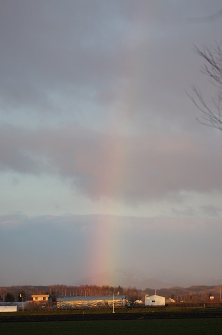 虹が出てました～♪
